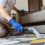 couch cleaning service