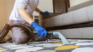 couch cleaning service