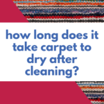 how long does it take carpet to dry after cleaning