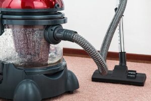 Carpet Cleaning Company Costs in Edgemere, Queens