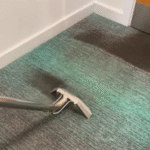 Commercial Carpet Cleaning